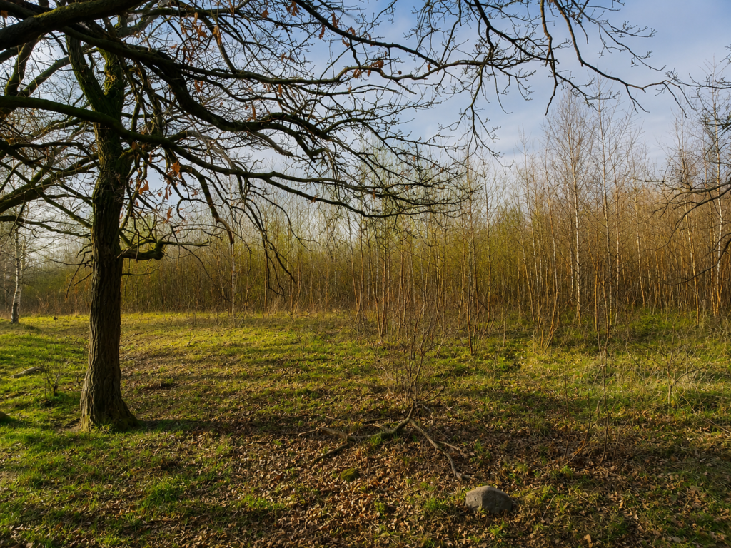 chatgpt image 14 maj 2026, 23 22 38
