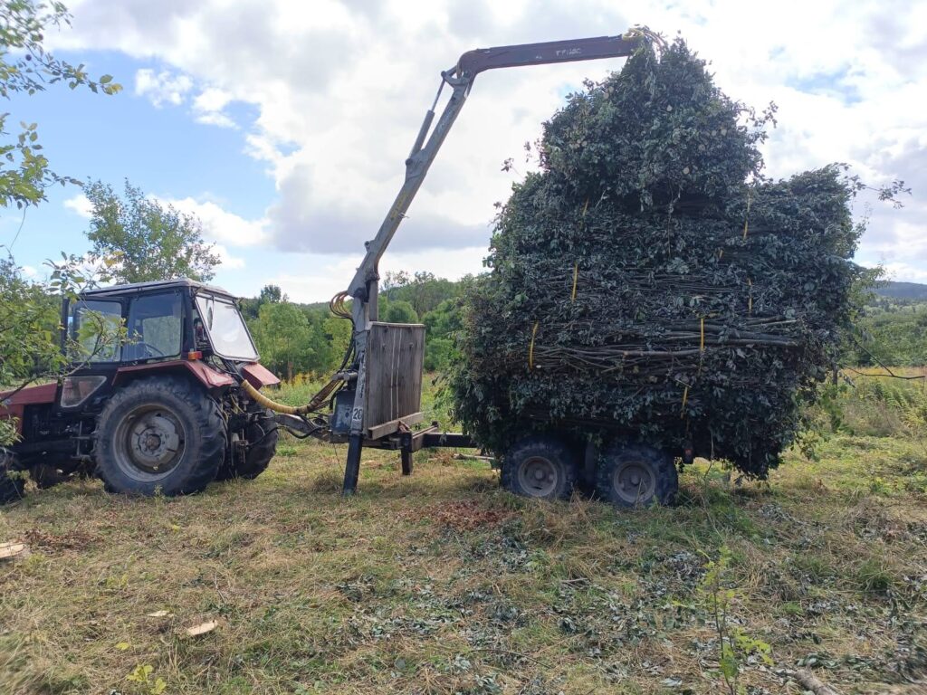 Fertige Faschinen aus Laubholz beim innerbetrieblichen Transport