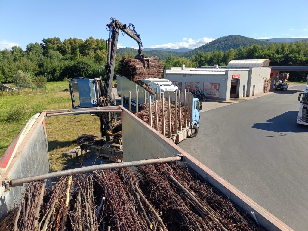 Verladung von Faschinen für Wasserbau und Uferschutz auf einen LKW