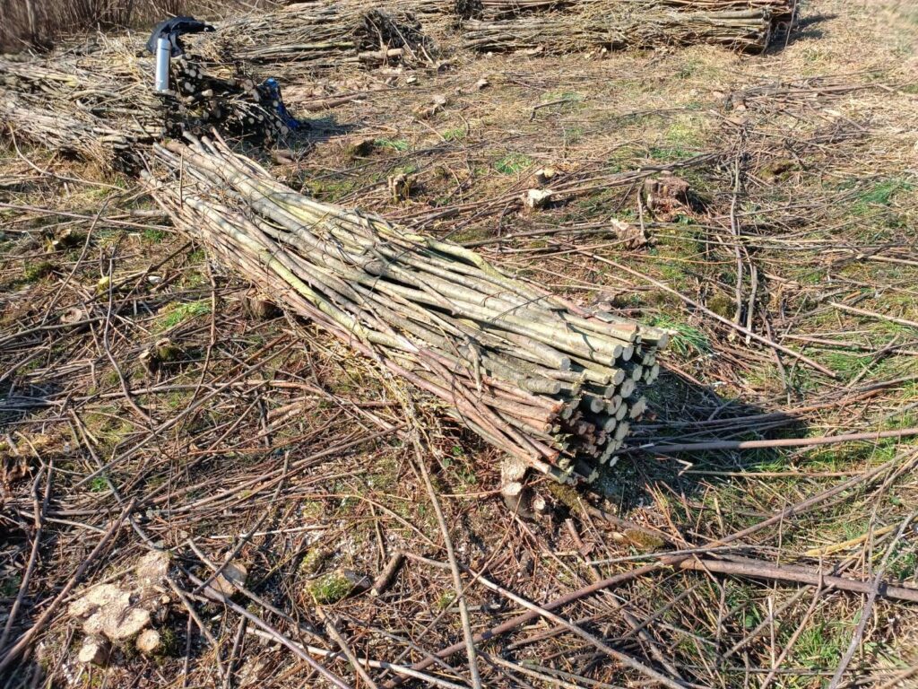 Fertige tote Faschinen aus Laubholz für Wasserbau und Uferbefestigung